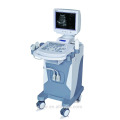 sonography ultra-som scanner ultra-sônico máquina